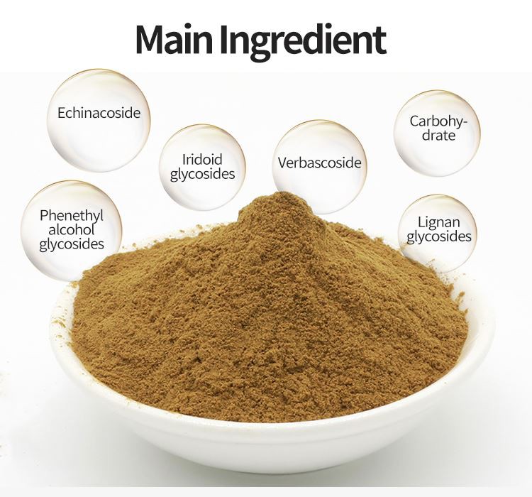 Cistanche tubulosa Supplements