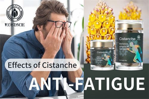 Cistanche Tubulosa Supplements