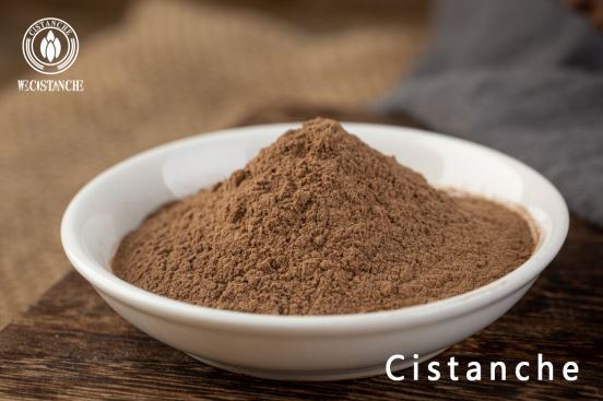 HERB CISTANCHE EXTRACT POWDER
