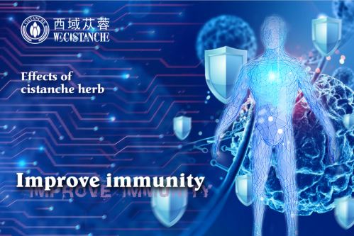 benefits of cistanche: improve immunity