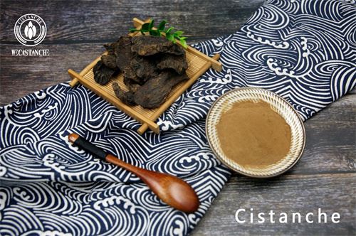 cistanche extract powder to improve immunity