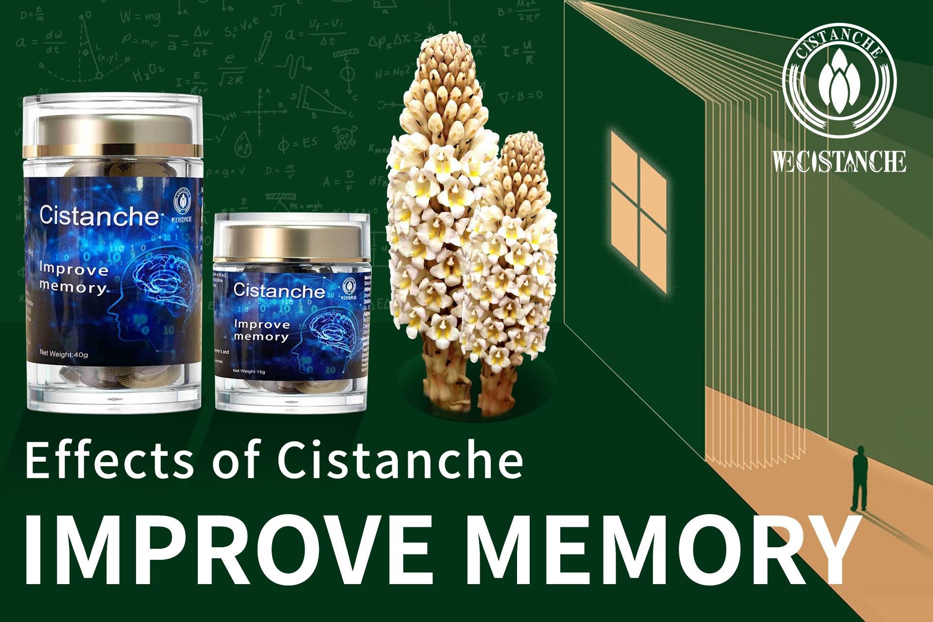 Supplement for improving memory ,Cistanche