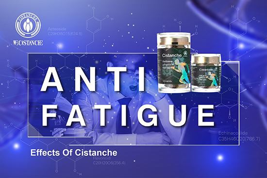 Cistanche product