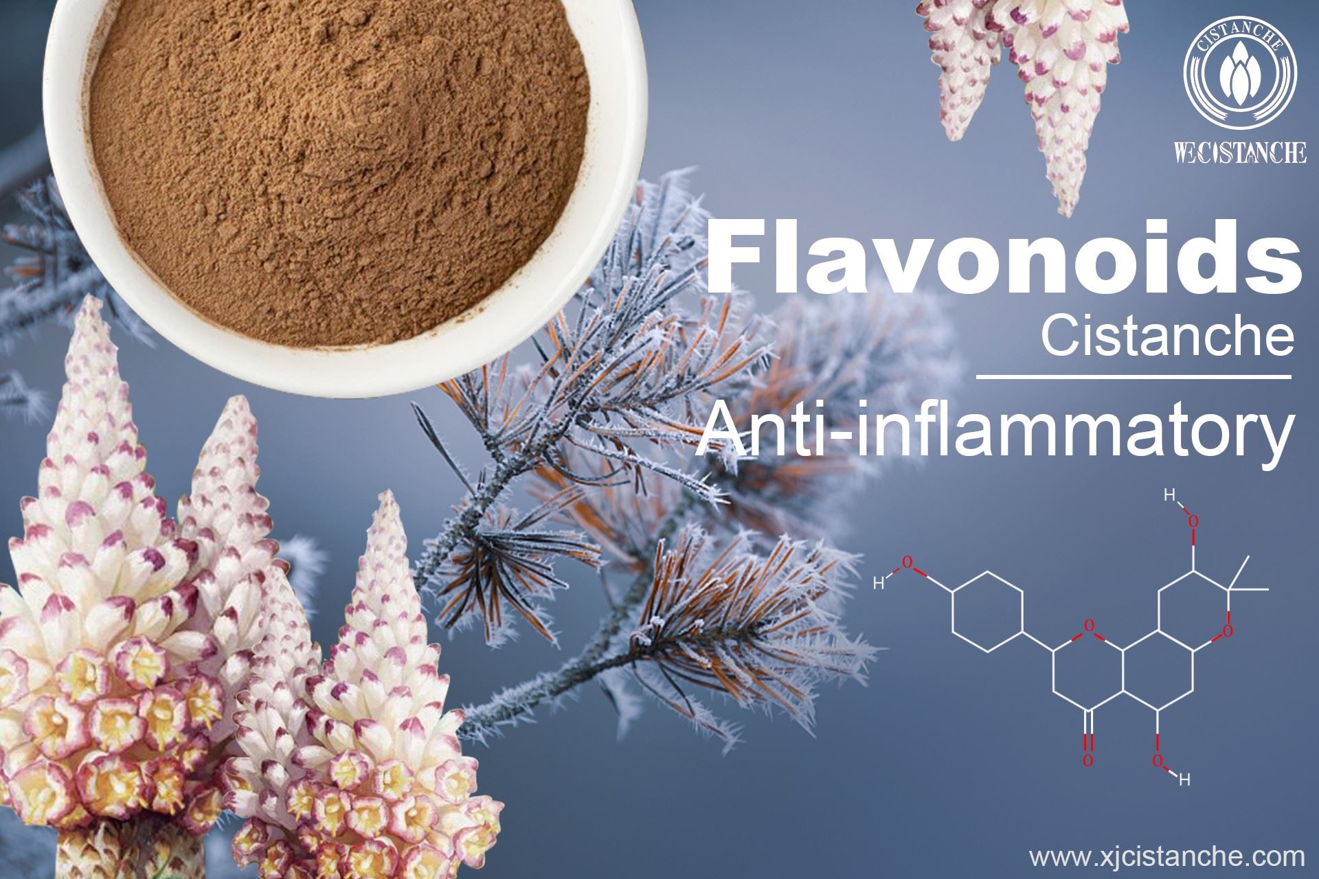 Flavonoids of Cistanche Flavonoids of Cistanche