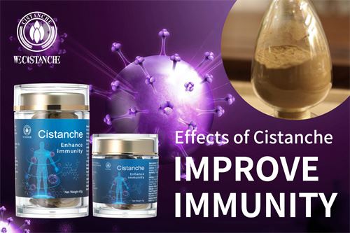 Cistanche improve immunity. Cistanche improve immunity.