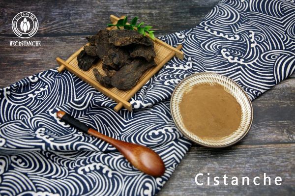 Cistanche extract