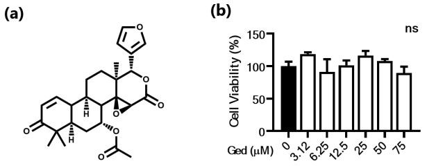 Figure 1. Cytotoxicity of gedunin (Ged) in B16F10 cells