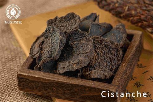 cistanche dosage