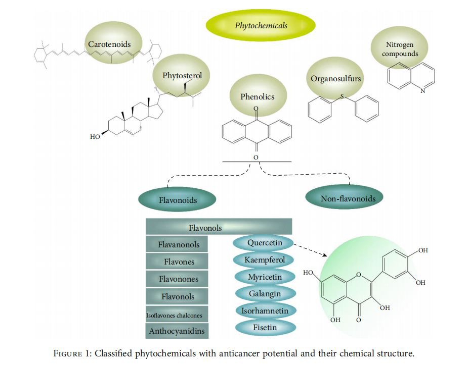 Classified phytochemicals with anticancer potential and their chemical structure