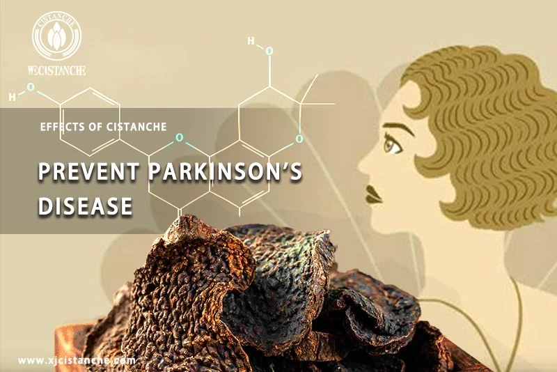 the way to prevent parkinson's disease