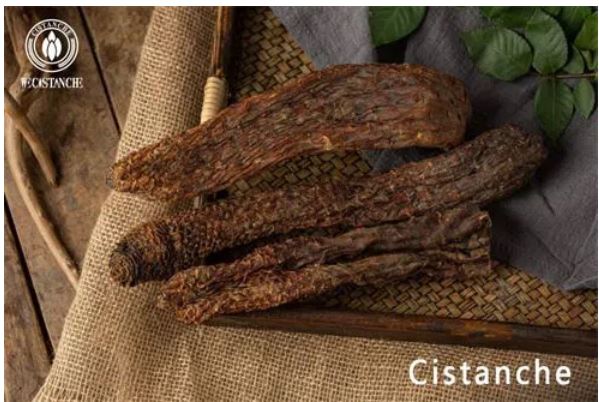 cistanche herb for cancer treament
