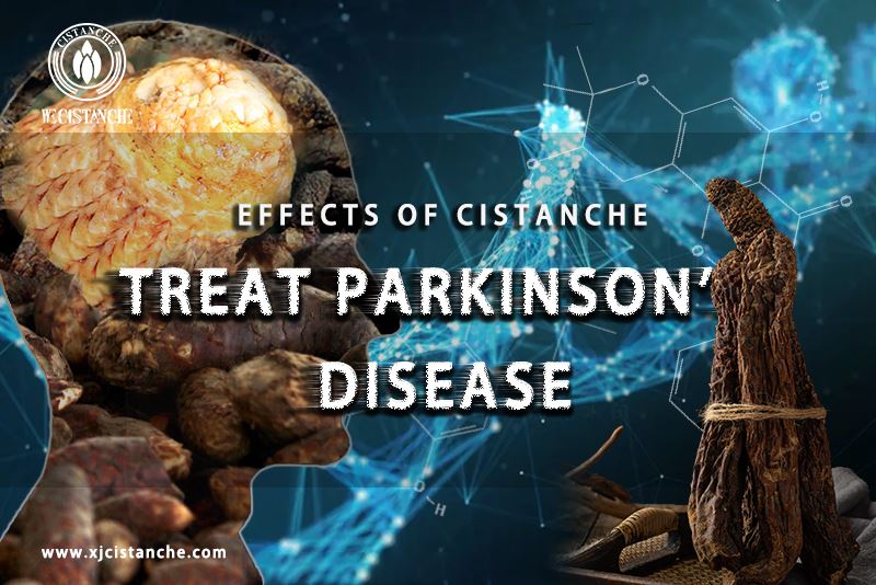 how to treat parkinson's disease how to treat parkinson's disease