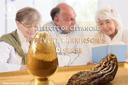 Cistanche benefits: prevent Alzheimer's and Parkinson's disease Cistanche benefits: prevent Alzheimer's and Parkinson's disease