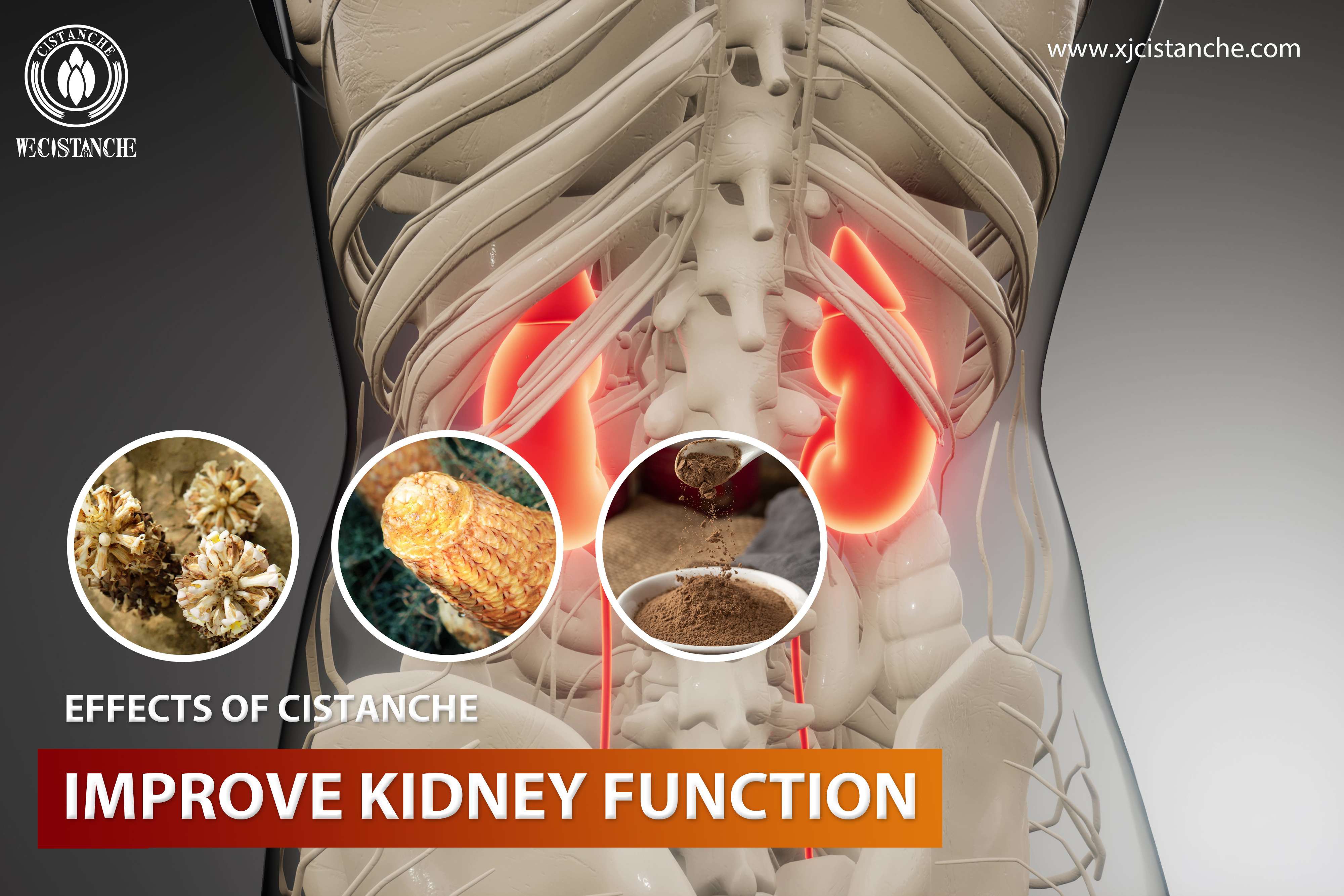 how to improve kidney function how to improve kidney function