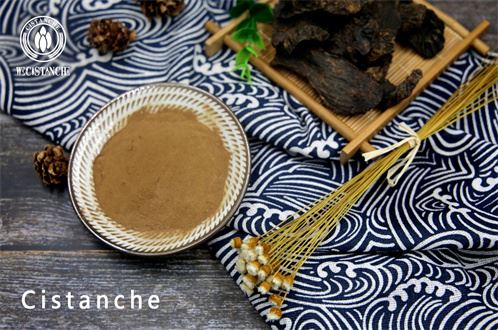 cistanche deserticola extract
