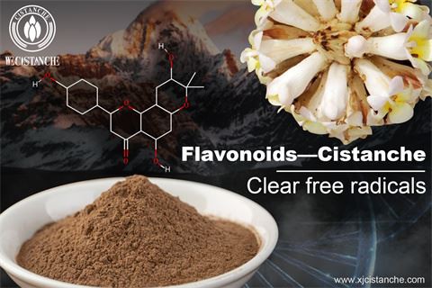 cistanche extract powder: clear free radicals