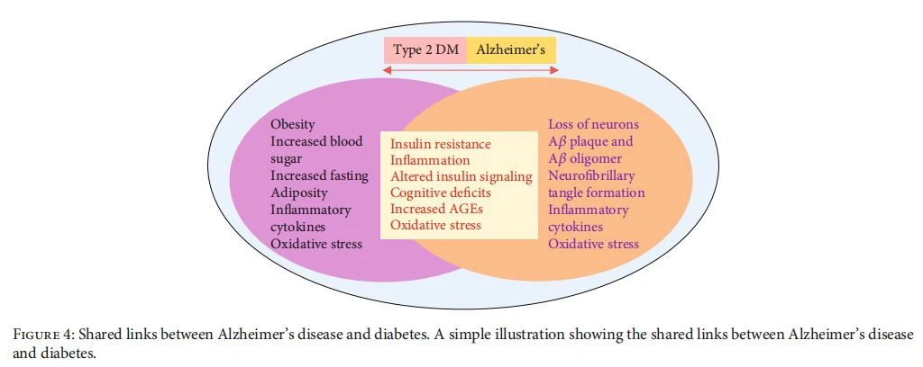 Shared links between Alzheimer's disease and diabetes. A simple illustration showing the shared links between Alzheimer's disease and diabetes.