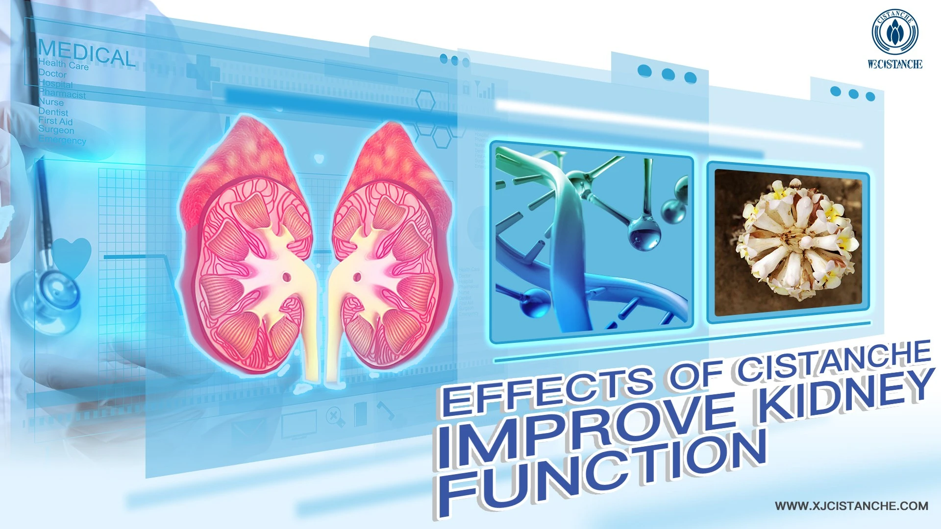 how to treat kidney disease
