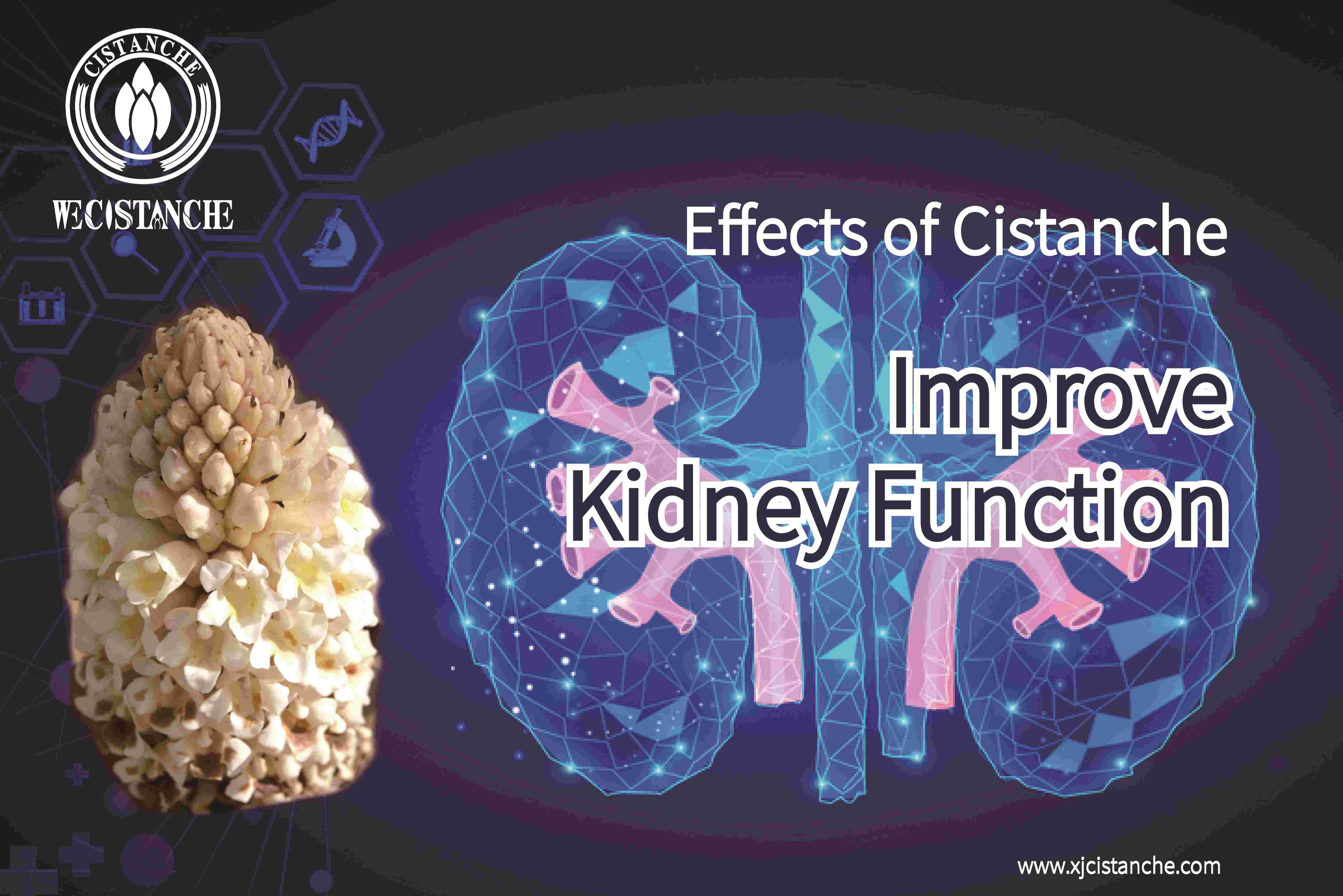 how to improve kidney function