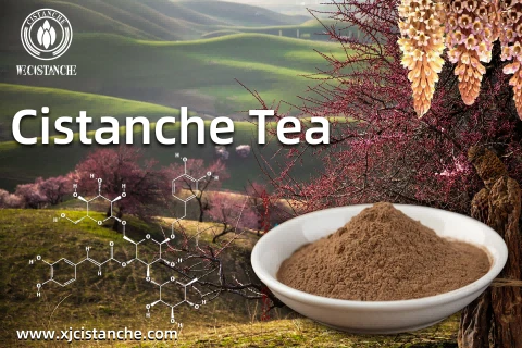 cistanche usage