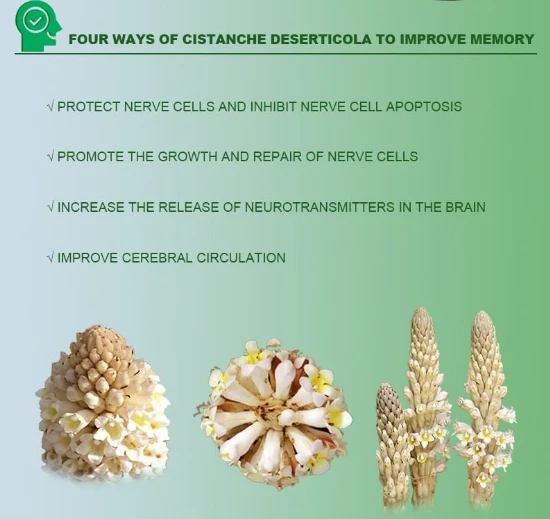 improve memory