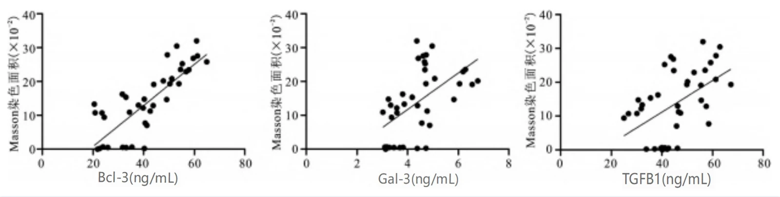 Cistanche Benefits: treat renal interstitial fibrosis 