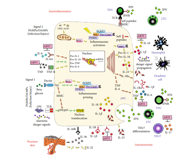 cistanche whole foods