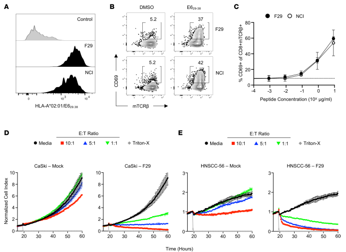 Figure 2. Functional characteristics of an HLA-A*02:01–restricted, E6-specific TCR from Hu-56 TILs. (A)