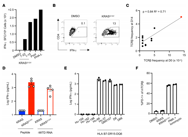 Figure 5. Identification of an HLA-DRB5*01:01–restricted, KRASG12V-specific TCR from the blood of a patient with pancreatic ductal adenocarcinoma. (A)