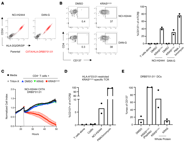 Figure 6. MHC-II+ KRASG12V+ tumor cells do not present KRASG12V-derived epitopes to CD4+ T cells. (A)