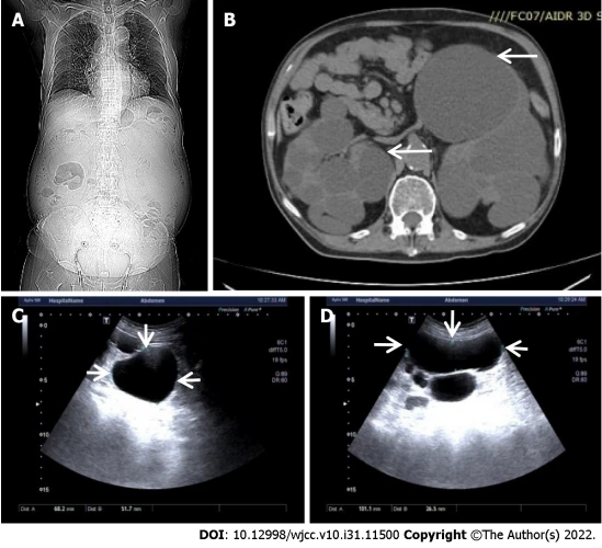 25% echinacoside 9% acteoside cistanche for kidney