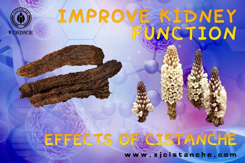 improve kidney function