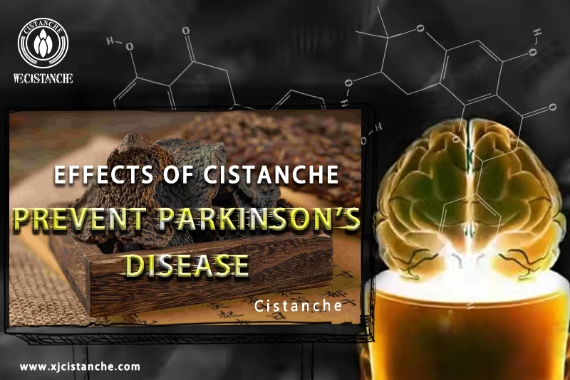 Cistanche tubulosa for preventing Parkinson's disease