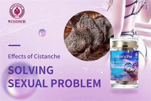 Cistanche tubulosa for solving sexual problem Cistanche tubulosa for solving sexual problem