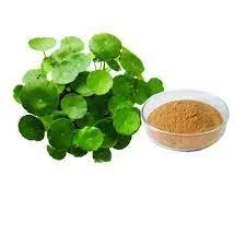 Centella Asiatica ekstrakto milteliai