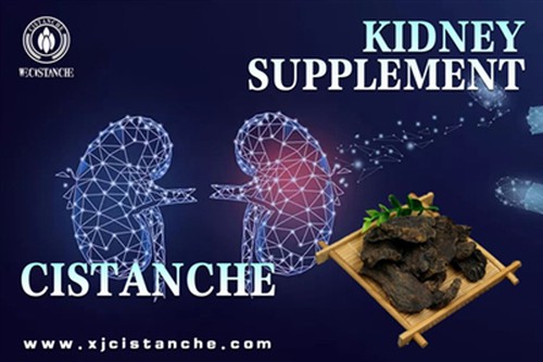 effect of cistanche effect of cistanche